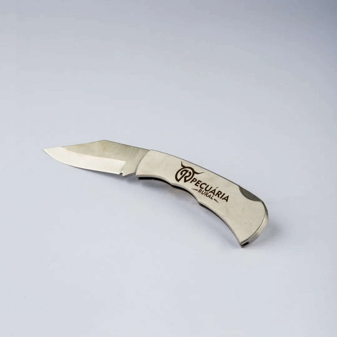 Nelore Pecuária Rural