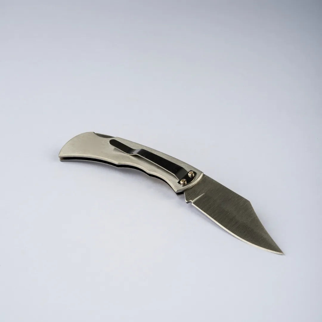 Nelore Pecuária Rural